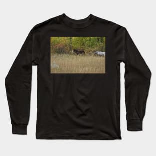 Wild Horse Foal Long Sleeve T-Shirt